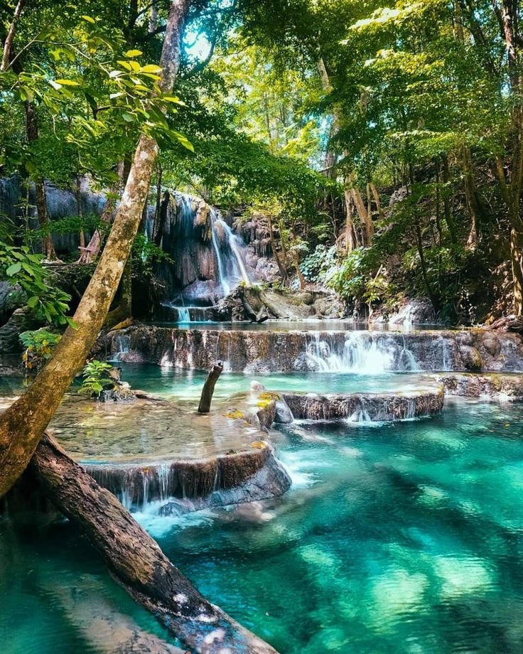 Day 3 Teluk Saleh & Movo Island