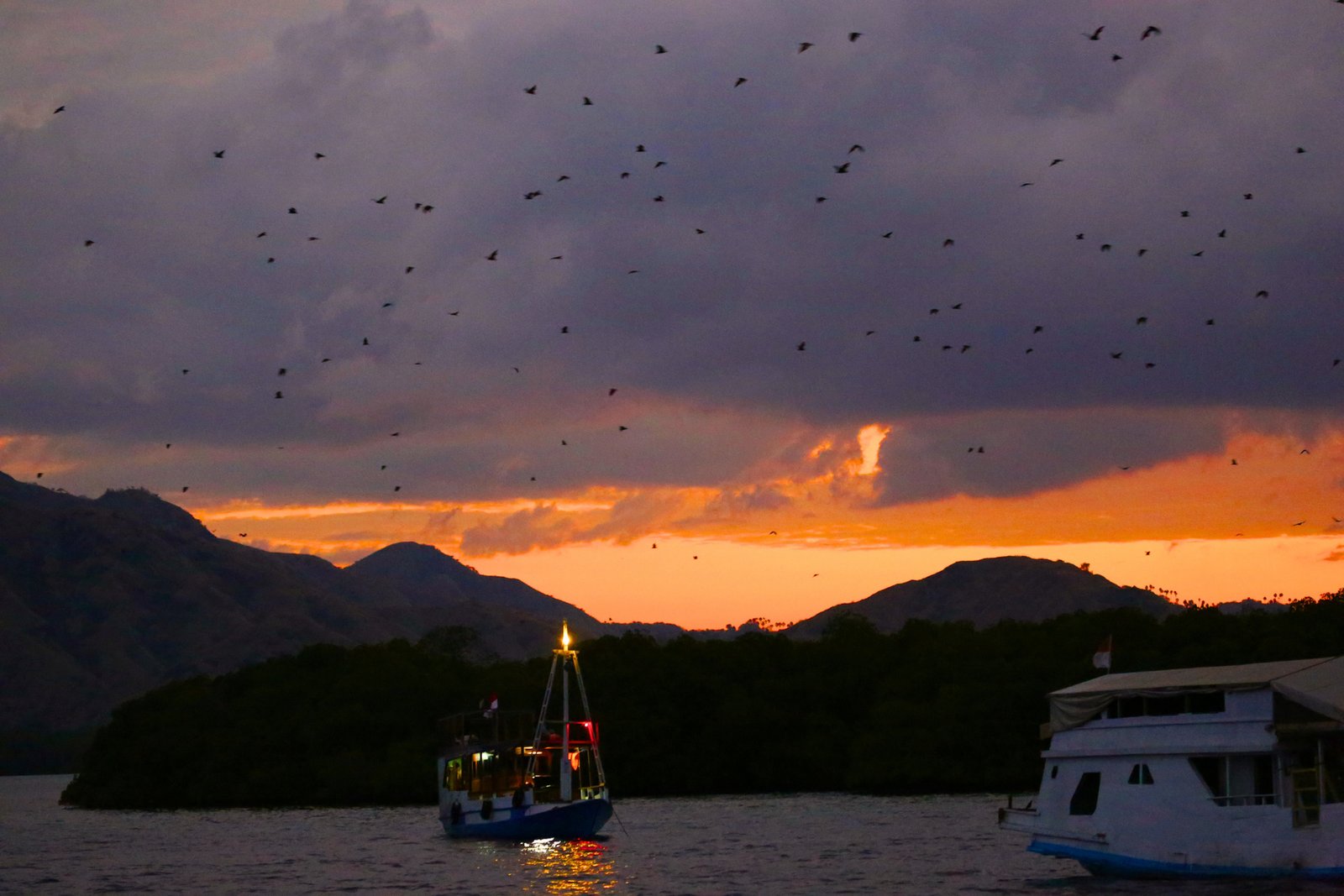 Explore the natural habitat of the legendary Komodo dragons